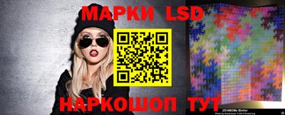 ECSTASY Новозыбков