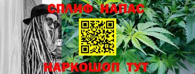 ECSTASY Новозыбков