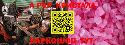 ECSTASY Новозыбков